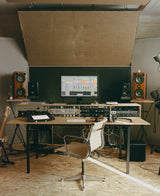 Ableton Live 12 Suite, Upgrade Standard 12