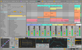 Ableton Live 12 Suite, Upgrade Standard 12